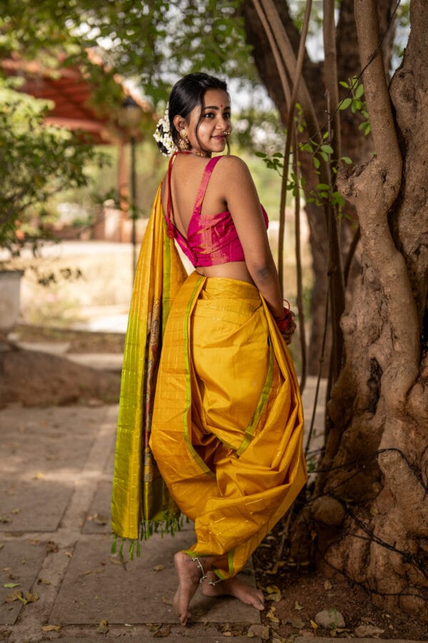 A Double warp kanjivaram light weight silk saree with a broad check border & dual shaded pallu - Image 2