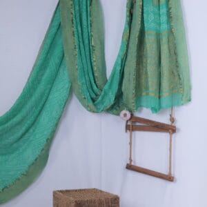 Banaras georgette saree with Bandhani work