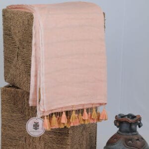 Mul Saree With Zari Stripes